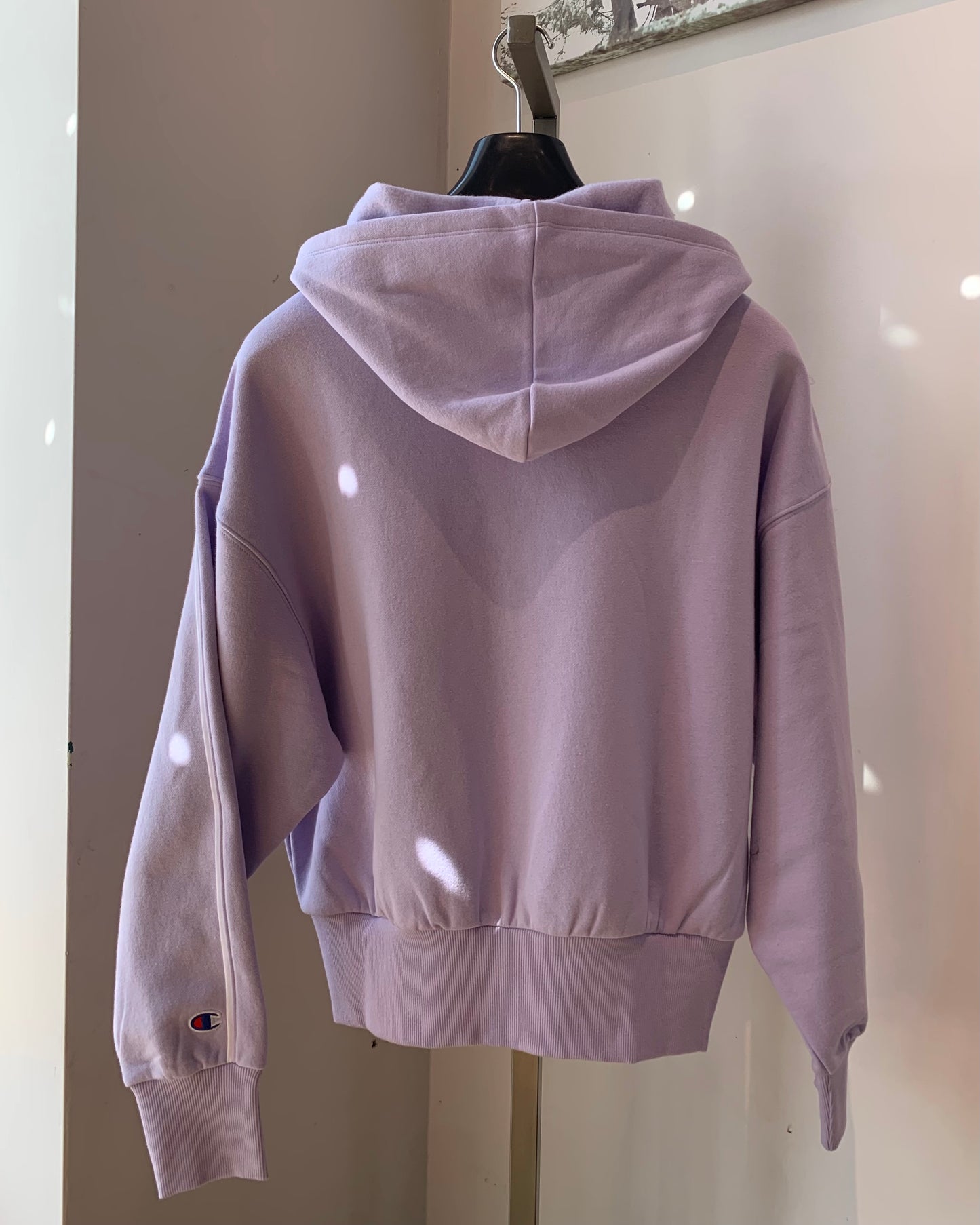 Champion - Classic Fleece Hoodie With Piping